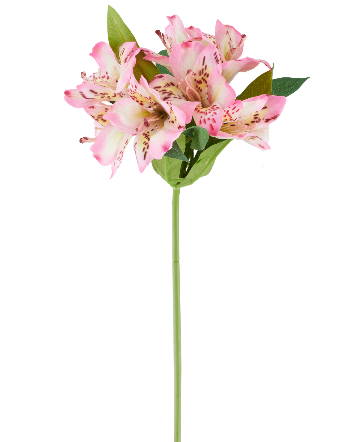 Eine einzelne künstliche Alstroemeria-Blume von 47 cm, rosa/cremefarben, mit verschiedenen rosa und cremefarbenen Blüten und grünen Blättern, dargestellt vor einem weißen Hintergrund.