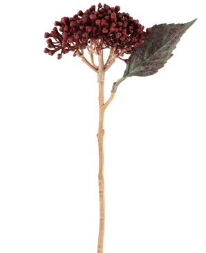 Vor einem weißen Hintergrund ist eine einzelne getrocknete künstliche Hortensie in Burgunderrot mit einer Länge von 38 cm, mit getrockneten rotbraunen Blütenblättern, einer Ansammlung kleiner Knospen und einem grünen Blatt auf einem langen, schlanken Stiel abgebildet.