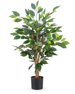 De Kunstplant Ficus Groen 90 cm heeft meerdere bruine stelen en weelderige groene bladeren in een eenvoudige zwarte pot - ideaal als stijlvolle kantoorplant.