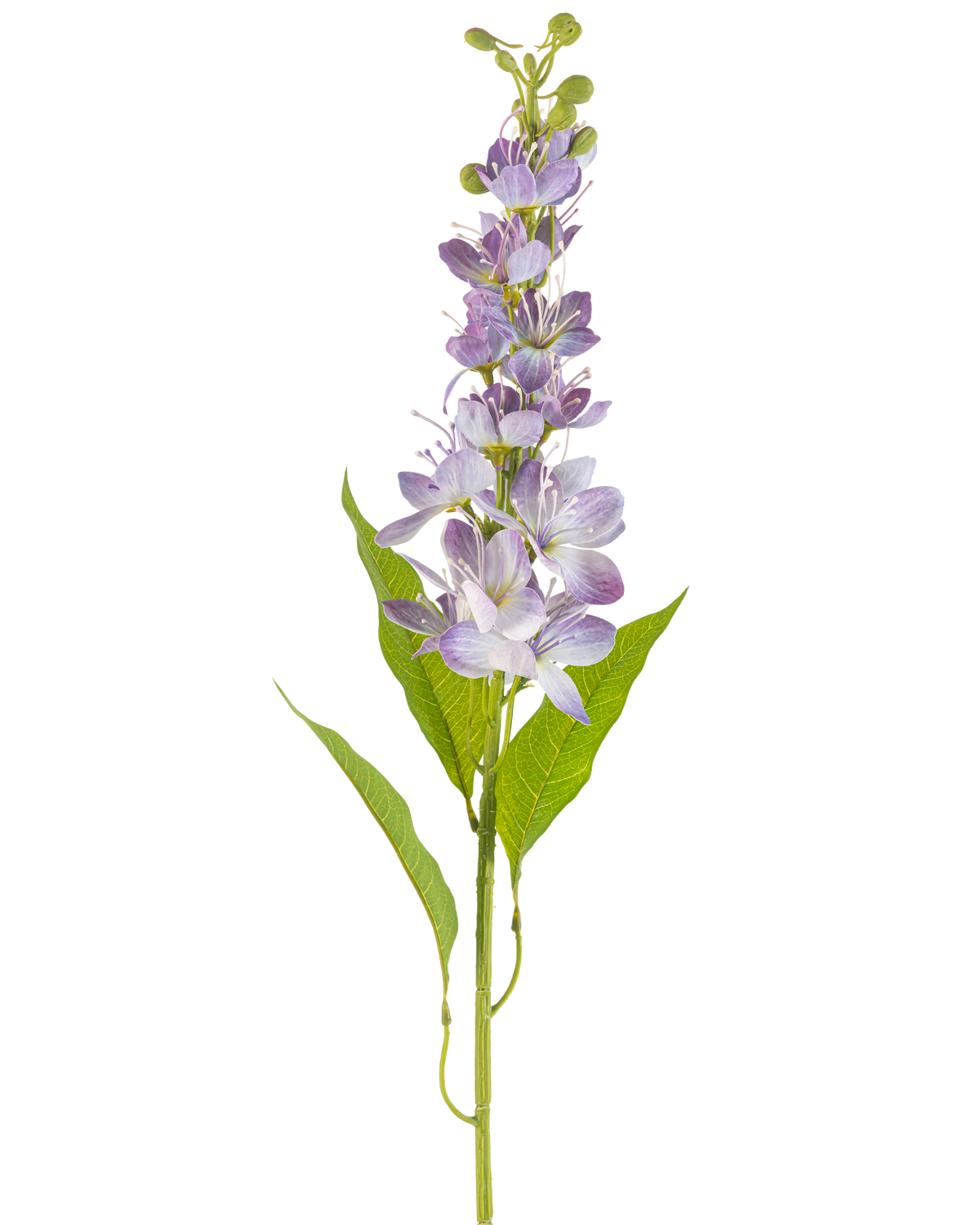 Die Kunstblume Asiatischer Apfel 84 cm Lavendel hat einen einzelnen Stiel mit länglichen grünen Blättern und mehreren kleinen, hellvioletten Blüten, die vertikal entlang des Stiels stehen und isoliert auf einem weißen Hintergrund stehen.