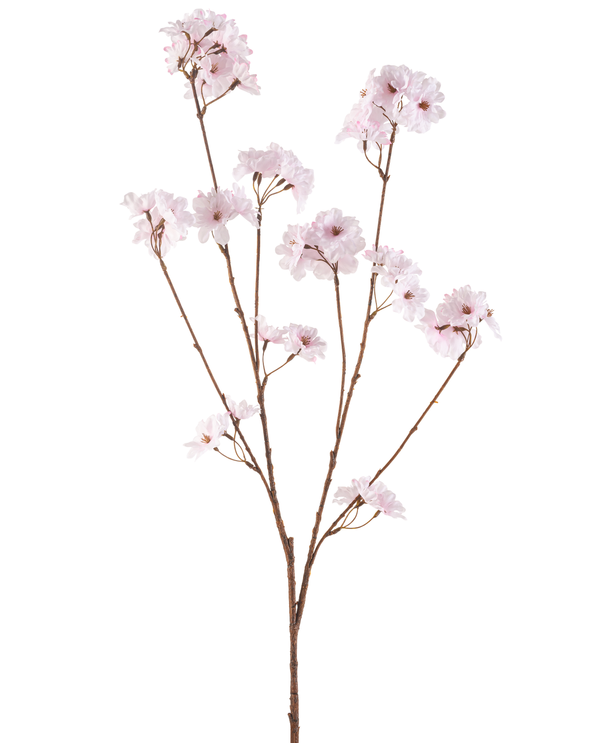 Die Kunstblume Kirschblüte 114 cm hellrosa hat einen einzelnen braunen Zweig mit mehreren dünnen Stielen, die jeweils mit Büscheln zarter, hellrosa Kirschblüten vor einem schlichten weißen Hintergrund verziert sind.