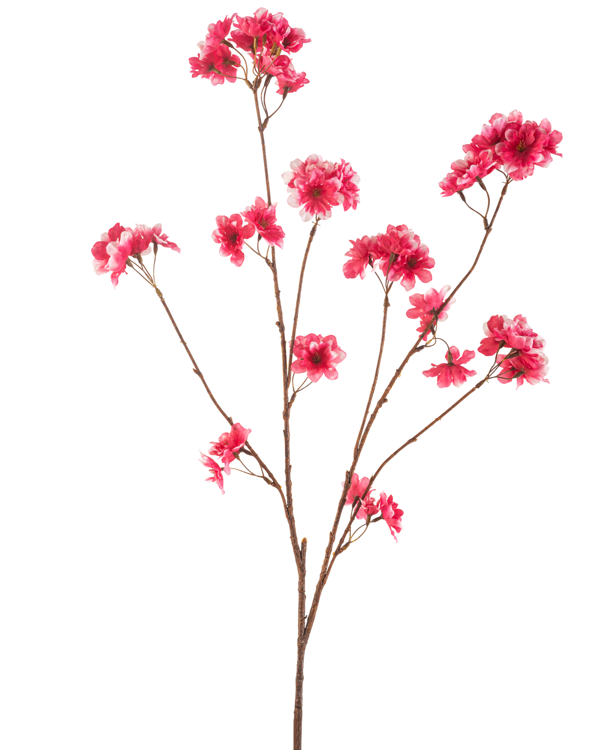 Die künstliche Blume Kirschblüte 114 cm in Fuchsia zeigt einen einzelnen braunen Zweig mit mehreren Stielen, jeder mit Büscheln leuchtend fuchsiafarbener künstlicher Weihnachtsblüten vor einem schlichten weißen Hintergrund.