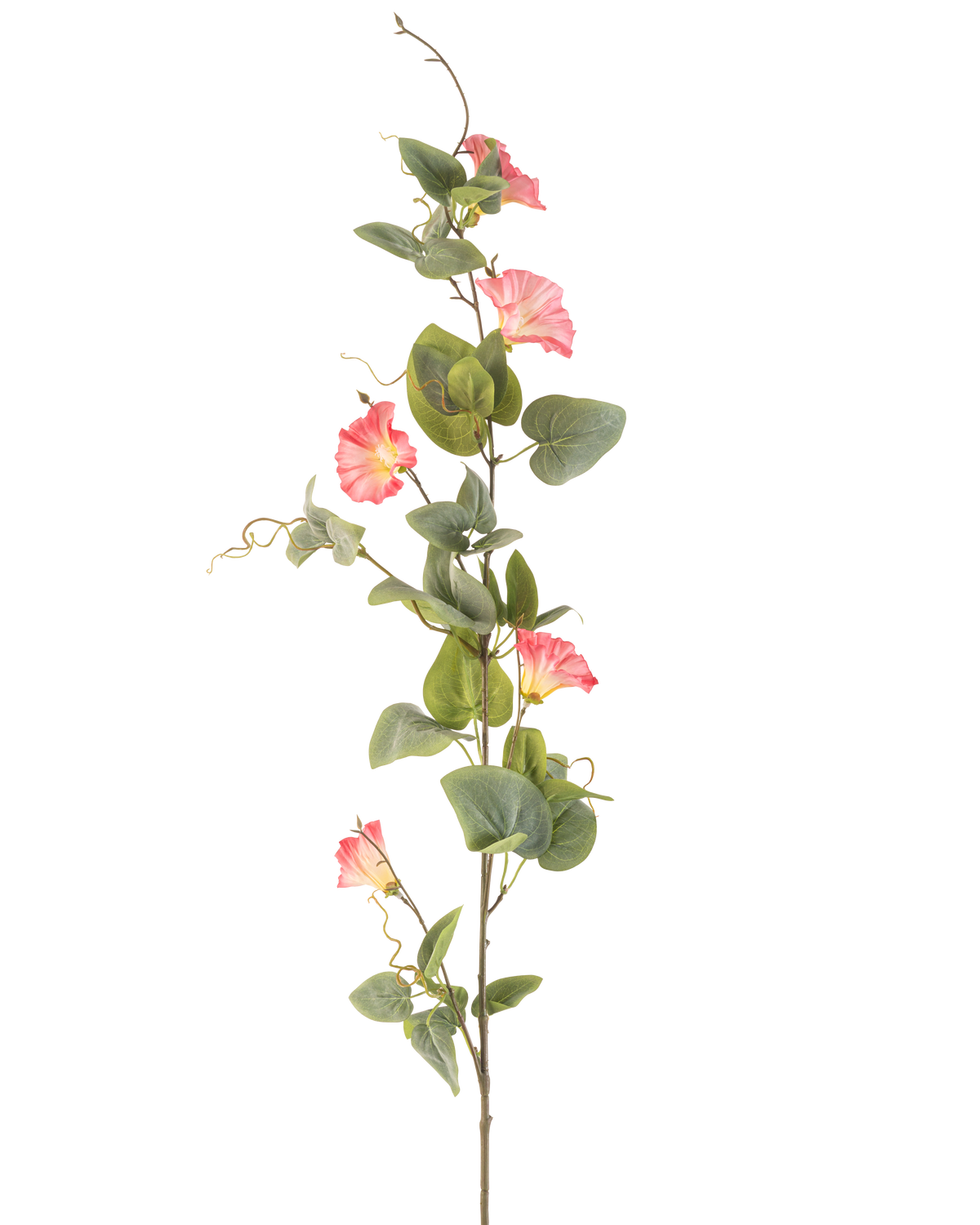 Die künstliche Blumenwinde 122 cm rosa hat einen einzelnen hohen Stiel mit grünen Blättern, mehreren rosa trompetenförmigen Blüten und lockigen Ranken vor einem weißen Hintergrund.