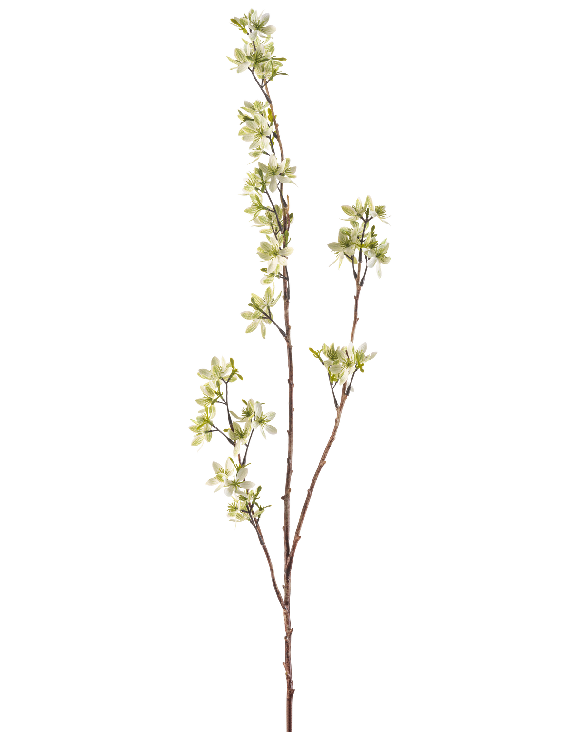 Die künstlichen Blumen 102 cm grün haben einen einzelnen hohen Stiel mit mehreren dünnen Trieben, geschmückt mit kleinen weißen und hellgrünen Blütensträußen vor einem schlichten weißen Hintergrund.