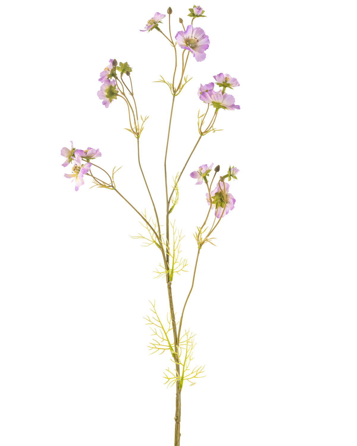 Der künstliche Blumenkörbchen 95 cm lila hat einen zarten Stiel mit mehreren hellvioletten Blüten und kleinen grünen Blättern, die sich wunderschön vor einem schlichten weißen Hintergrund abheben.