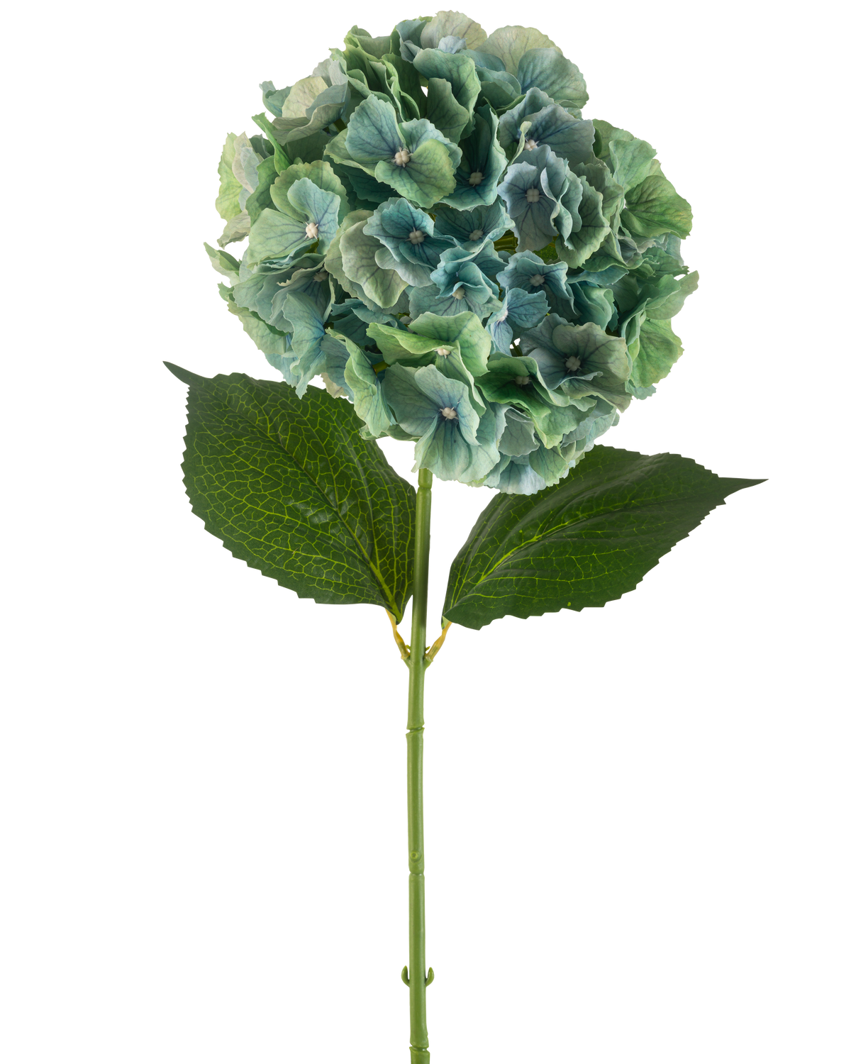 Die künstliche Blumenhortensie 75 cm in Pfauenblau besteht aus einer einzelnen blauen künstlichen Hortensie mit runden Blütenblättern und zwei großen grünen Blättern an einem langen Stiel, isoliert auf weißem Hintergrund.