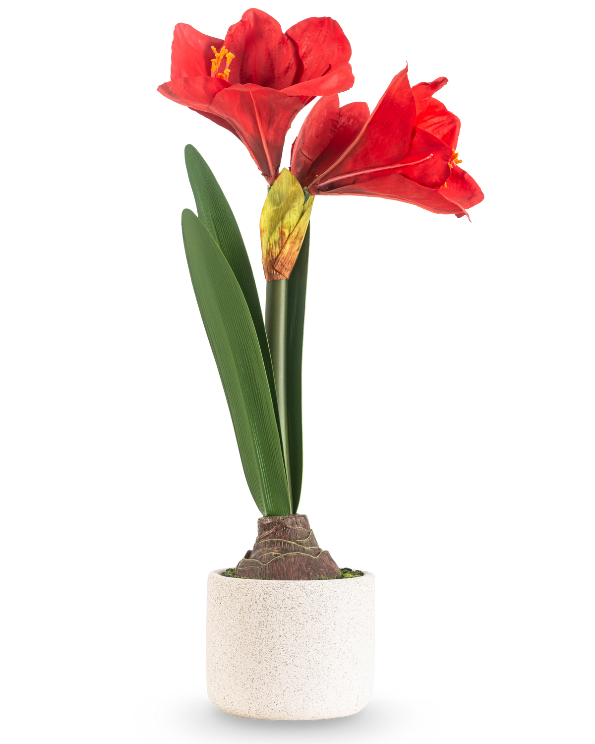 Die Kunstblume Amaryllis Real Touch rot 48 cm hat zwei große rote Blüten und lange grüne Blätter, präsentiert in einem schlichten Topf mit weißer Textur vor einem schlichten hellen Hintergrund.