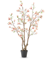 Die Kunstpflanze Magnolie 220 cm ist ein künstlicher Magnolienbaum im Topf mit mehreren braunen Zweigen, hellrosa Blüten und grünen Blättern in einem schlichten schwarzen Topf vor weißem Hintergrund.