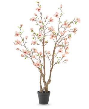 De Kunstplant Magnolia 220 cm is een kunstmagnoliaboom in pot met meerdere bruine takken, lichtroze bloemen en groene bladeren in een eenvoudige zwarte pot tegen een witte achtergrond.