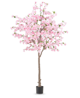 De Kunstplant Kersenbloesem 240 cm heeft een bruine stam met talrijke takken die versierd zijn met roze bloemen en enkele groene blaadjes, geplaatst in een zwarte pot tegen een effen witte achtergrond.