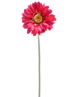 Een enkele Kunstbloem Gerbera 53 cm bordeaux met een lange groene steel, geïsoleerd op een witte achtergrond.
