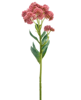 De Kunstbloem Dianthus 55 cm lila heeft een enkele groene stengel met gekartelde bladeren en trosjes kleine, lila bloemen aan de bovenkant, tegen een effen witte achtergrond.