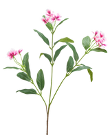 Een Kunstbloem Catharanthus 68 cm in fuchsia/creme met lange, slanke groene bladeren en trossen vijfbladige bloemen wordt getoond tegen een effen witte achtergrond.