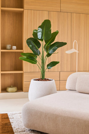 Een Kunstplant Strelitzia 150 cm real touch2 met natuurgetrouwe bladeren staat naast een moderne beige bank in een kamer met houten lambrisering en ingebouwde planken die zijn versierd met minimalistische decoraties.