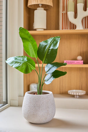 Een kunstplant Strelitzia van 90 cm, met een levensechte uitstraling en grote groene bladeren, staat op een vensterbank voor houten planken die versierd zijn met boeken, keramiek en kleine decoratieve voorwerpen.