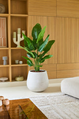Een grote Kunstplant Strelitzia Real Touch Deluxe van 150 cm in een witte plantenbak staat op een lichte vloer in een moderne woonkamer met houten lambrisering, planken en een in neutrale tinten gehouden inrichting, en geeft deze verfijnde ruimte een elegante, levensechte uitstraling.