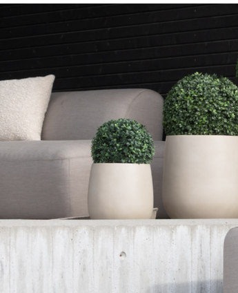 Een moderne zithoek buiten met een lichtgrijze sofa, beige kussen en twee Kunstplant Buxus romeinse stijl UV D30cm ronde potplanten op een betonnen richel tegen een zwarte horizontale lattenwand.