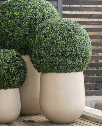 Drie grote Kunstplant Buxus romeinse stijl UV D55cm, met dicht, netjes gesnoeid groen gebladerte in witte ronde plantenbakken, zijn geplaatst op een houten terras met een modern houten latten hek op de achtergrond.