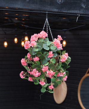 Die künstliche Begonie rosa im UV-Korb 70 cm, mit sattgrünen Blättern und rosa Blüten, hängt an einer Kette. Warmes Streiflicht und ein runder Spiegel betonen den dunklen Holzhintergrund.