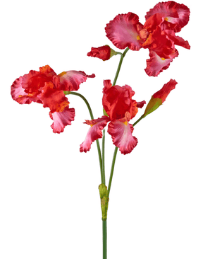 Kunnst Blume Iris 102 cm rot
