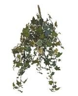 De Kunst Klimop Deluxe Groen-wit 60cm is een hangende tros van kunstmatige klimopranken met groen en wit bonte bladeren tegen een effen witte achtergrond.