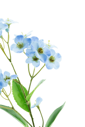 Een close-up van de Kunstbloem Orchidee Real Touch Blauw 50 cm, met delicate lichtblauwe orchideeën met een geelgroen hart en groene bladeren tegen een effen witte achtergrond.