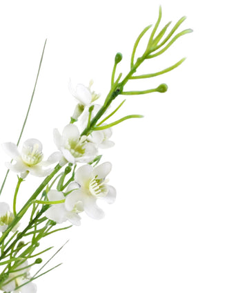 Een close-up van de Kunstgras gierst-uiengrasbonsai 120cm brandvertragend toont kleine witte vijfbladige bloemen met een groen hart en knoppen op een groene stengel met dunne, langwerpige bladeren, tegen een witte achtergrond.