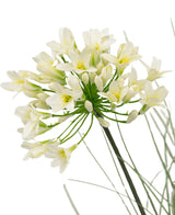 Eine Nahaufnahme des 90 cm großen feuerhemmenden künstlichen Rasens aus weißem Agapanthus-Zwiebelgras zeigt zarte weiße Blüten mit gelber Mitte auf langen grünen Stielen, umgeben von zarten Blättern, vor einem schlichten weißen Hintergrund.