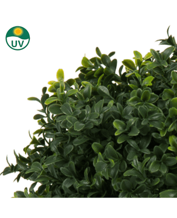 Een close-up van dicht groen gebladerte van de Kunstplant Buxus op stam romeinse stijl UV 65cm, met lichtere uiteinden; een cirkelvormig UV-beschermingspictogram is zichtbaar in de linkerbovenhoek.