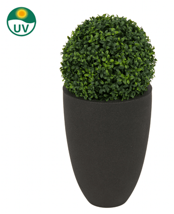 Kunstplant Buxus romeinse stijl UV D30cm: een ronde kunstvorm in een hoge zwarte plantenbak, met UV-bescherming (symbool linksboven).
