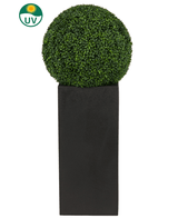 De Kunstplant Buxus romeinse stijl UV D55cm, een ronde kunstvorm, staat in een hoge zwarte plantenbak met een UV-beschermingspictogram in de linkerbovenhoek van de afbeelding.