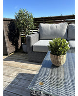 Een patio met een grijze rieten bank en tafel, met een Kunstplant Buxus groen in pot UV 19 cm op tafel en een grotere potplant naast de bank, alles onder een strakblauwe hemel.