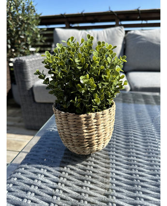 De Kunstplant Buxus groen in pot UV 19 cm, met groene bladeren in een rieten mandvormige pot, staat op een glazen buitentafel met terrasmeubilair en een houten reling zichtbaar onder een strakblauwe hemel.