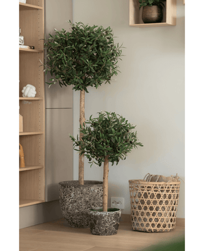 Twee onderhoudsvriendelijke Kunst olijfbomen UV 85 cm met slanke stammen staan naast elkaar op een houten vloer naast een gevlochten mand en houten planken in een modern, minimalistisch interieur.