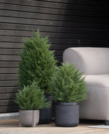 Drie groenblijvende planten in pot, waaronder een Kunstplant Conifeer deluxe UV 90 cm, staan op een houten vloer naast een lichtgrijze bank, met een donkerhouten muur erachter voor een elegant en onderhoudsvrij plantenaccent.
