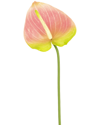 Künstliche Blume Anthurium 65 cm grün/rosa