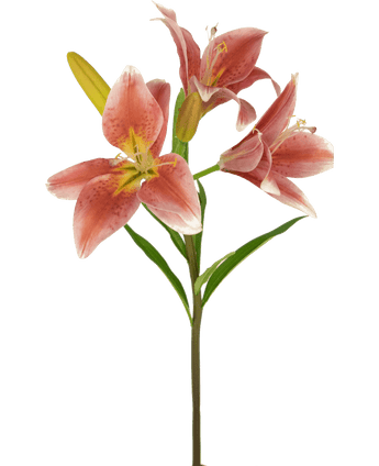 Künstliche Blume Asiatische Lilie 66 cm alt rosa