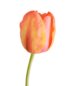 Künstliche Blume Französische Tulpe 60 cm orange