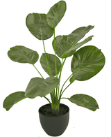 Künstliche Calathea 58 cm grün im dekorativen Topf schwarz