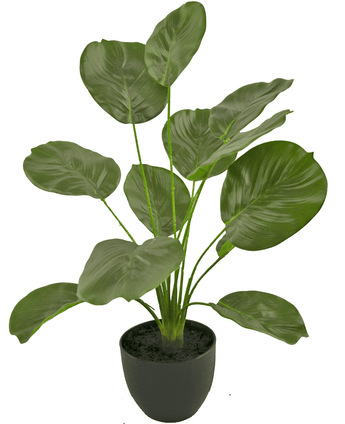 Künstliche Calathea 58 cm grün im dekorativen Topf schwarz