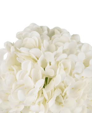 Künstliche Hortensie "Annabelle" Real Touch Weiß 55cm
