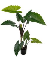 Künstliche Pflanze Alocasia 150 cm