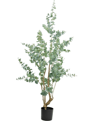 Künstliche Pflanze Eukalyptus 180 cm