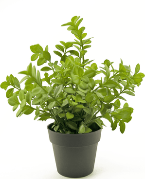 Künstliche Pflanze Eukalyptus 27 cm