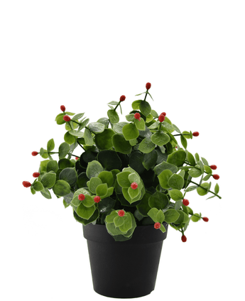 Künstliche Pflanze Eukalyptus rot im Topf 22 cm UV