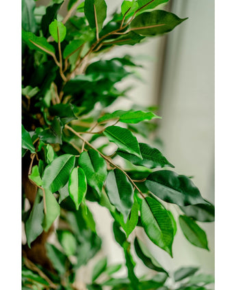 Künstliche Pflanze Ficus Crazy 120 cm