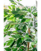 Künstliche Pflanze Ficus Grün 150 cm