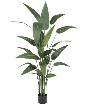 Künstliche Pflanze Heliconia 170 cm