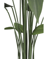 Künstliche Pflanze Heliconia 170 cm