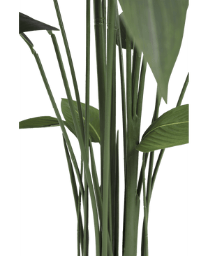Künstliche Pflanze Heliconia 170 cm